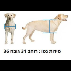 פתח מעבר לחיות מחמד – דגם מרובעים